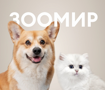 Выставка «Зоомир»